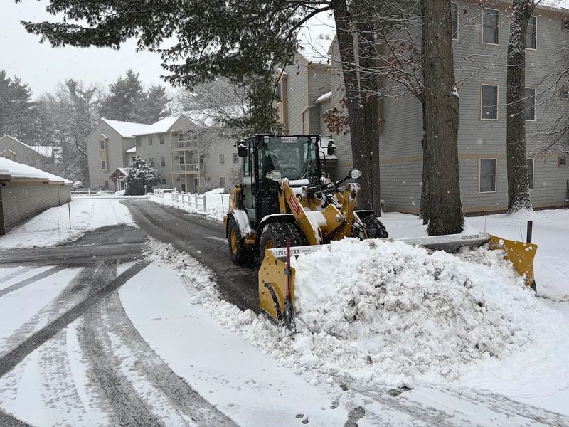 Commercial Snow