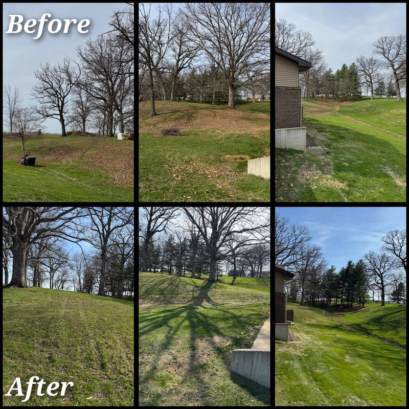 Fall and Spring Clean Up