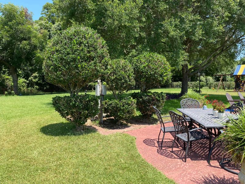 Shrub Trimming