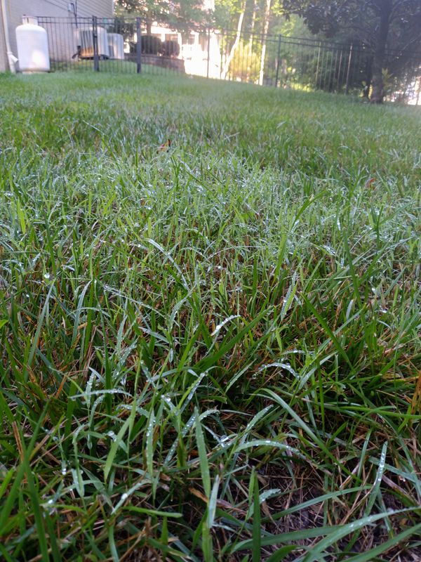 Grass Up