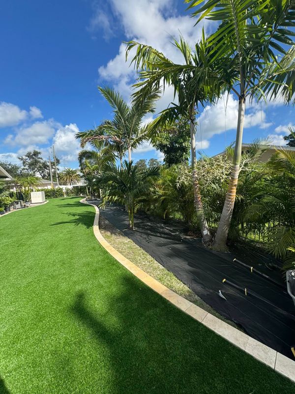 Lawn Care and Maintenance