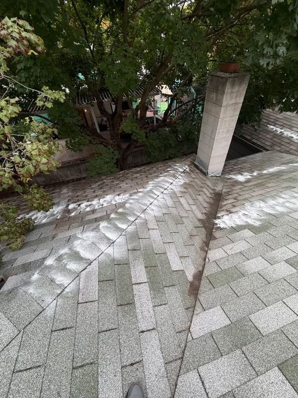 Roof Cleaning