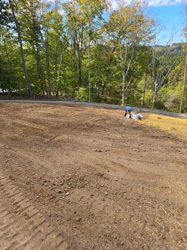 Land Clearing