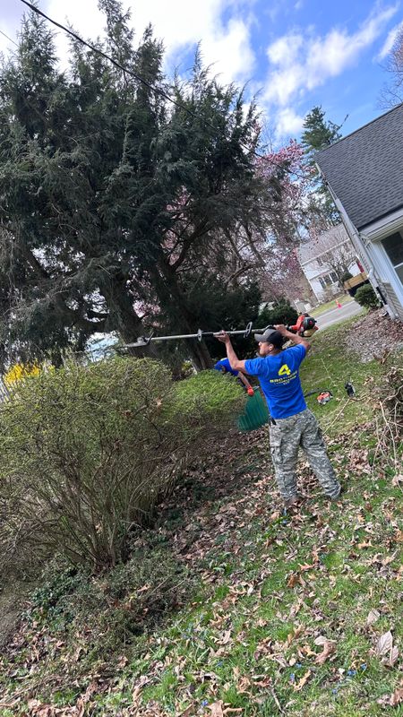 Leaf Removal