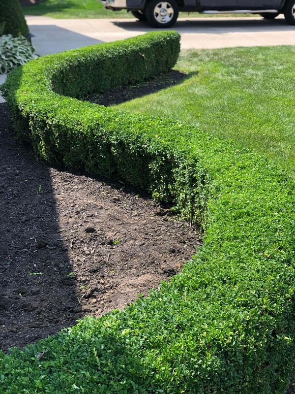 Landscaping gallery