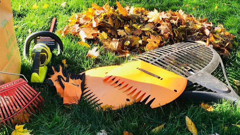 Fall and Spring Clean Up