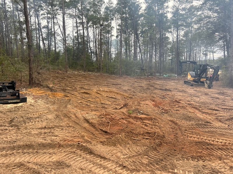 Land Clearing/ Forestry mulching gallery