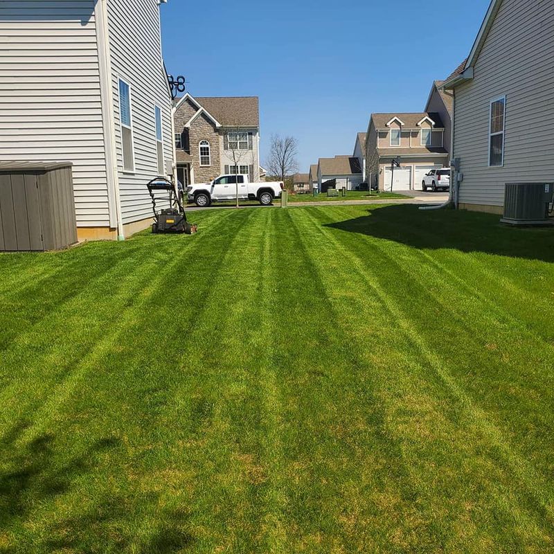 Lawn Care