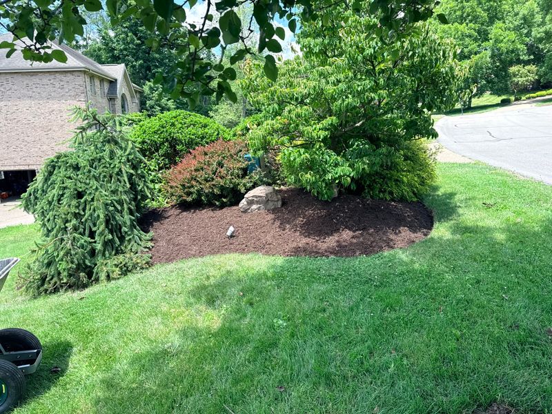 Landscaping