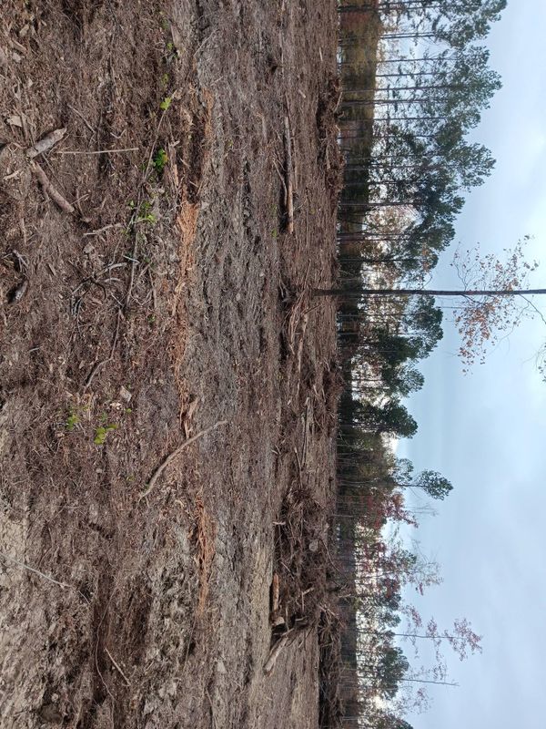 Septic leach fields