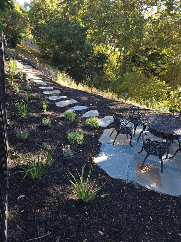 Landscape Installation