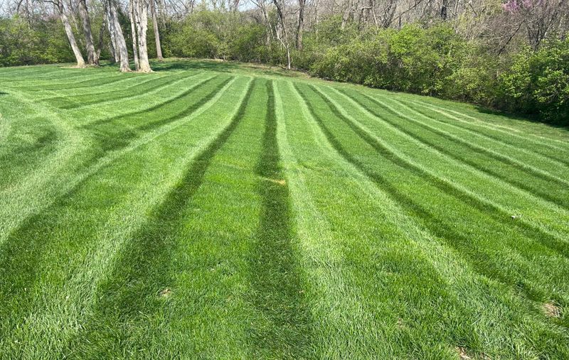 Our Mowing