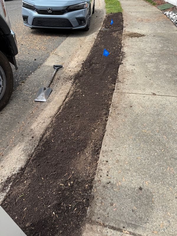 Planting