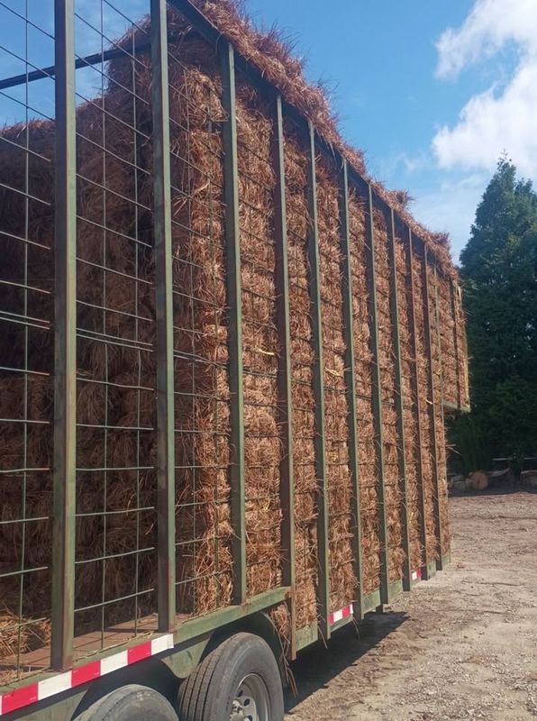Pinestraw Installation
