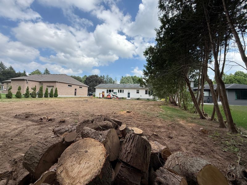 Tree, Hedge & Shrub Trimming