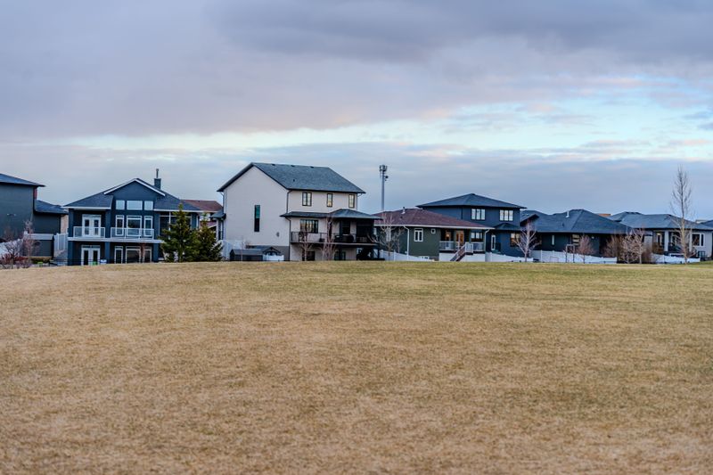 Lawn Renovation