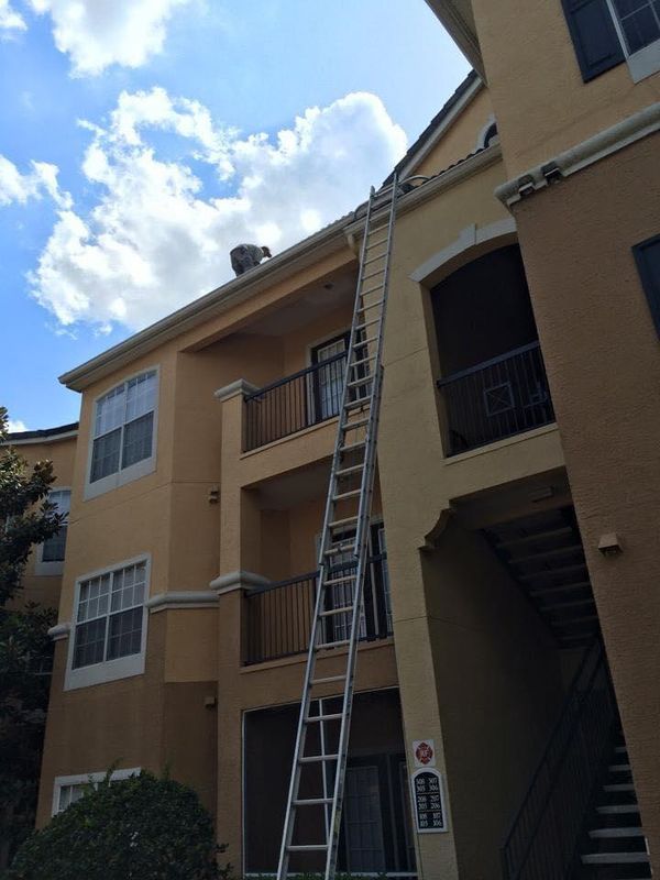 Roofing Installation