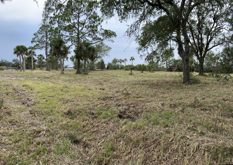 Brush cutting