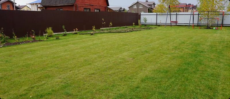 Lawn Maintenance