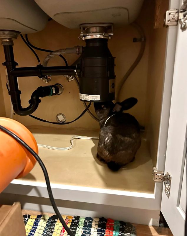 Leak Detection and Repair