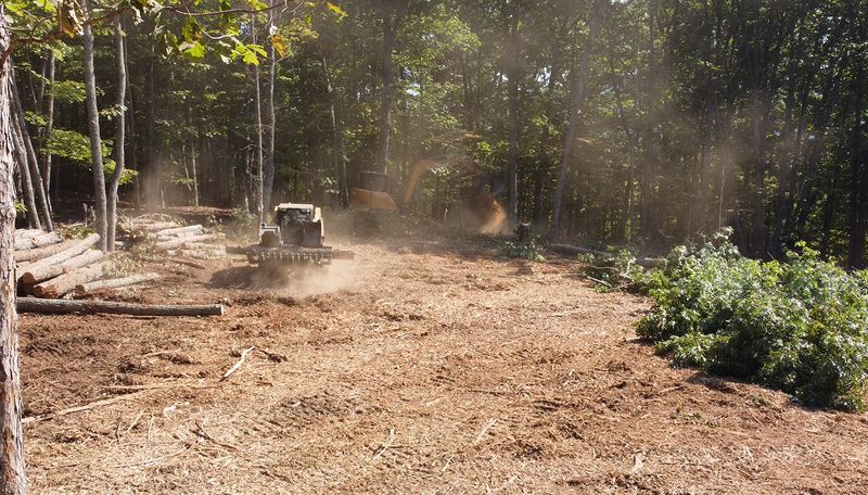 Land Clean Up
