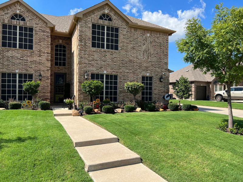 Tree and Shrub Care
