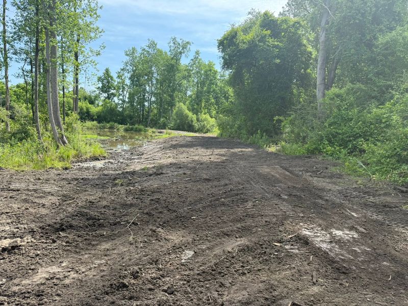 Land Clearing