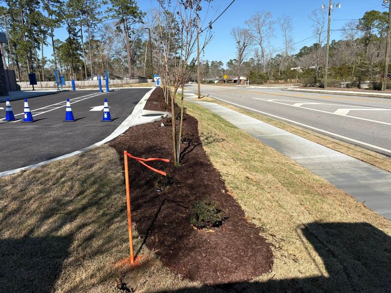 Tree & Shrub Care