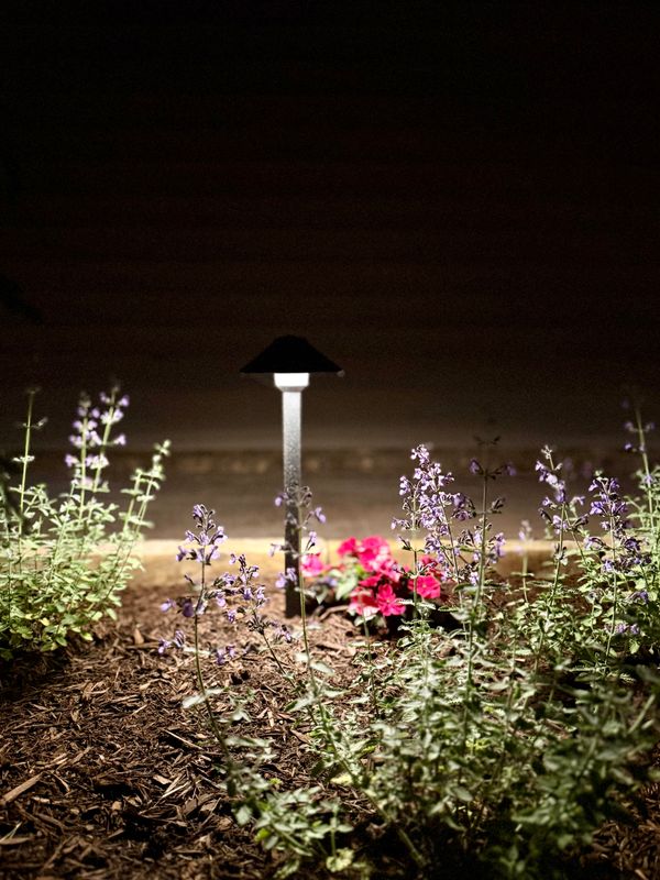 Landscape Lighting gallery