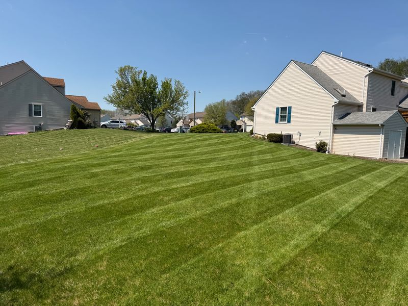 Mowing