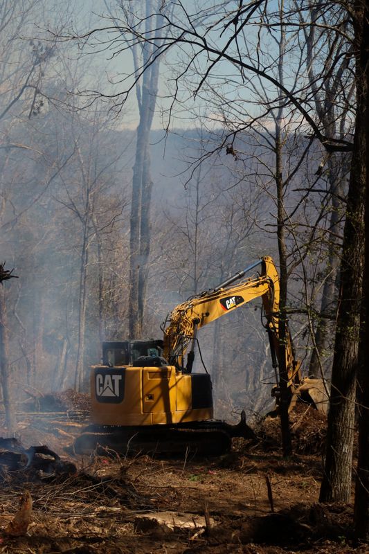 Land Clearing