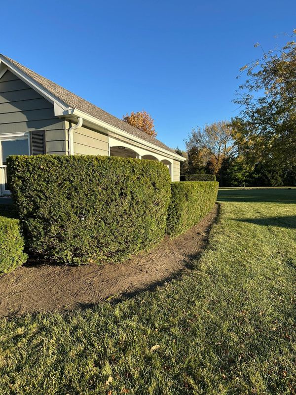 Landscape design
