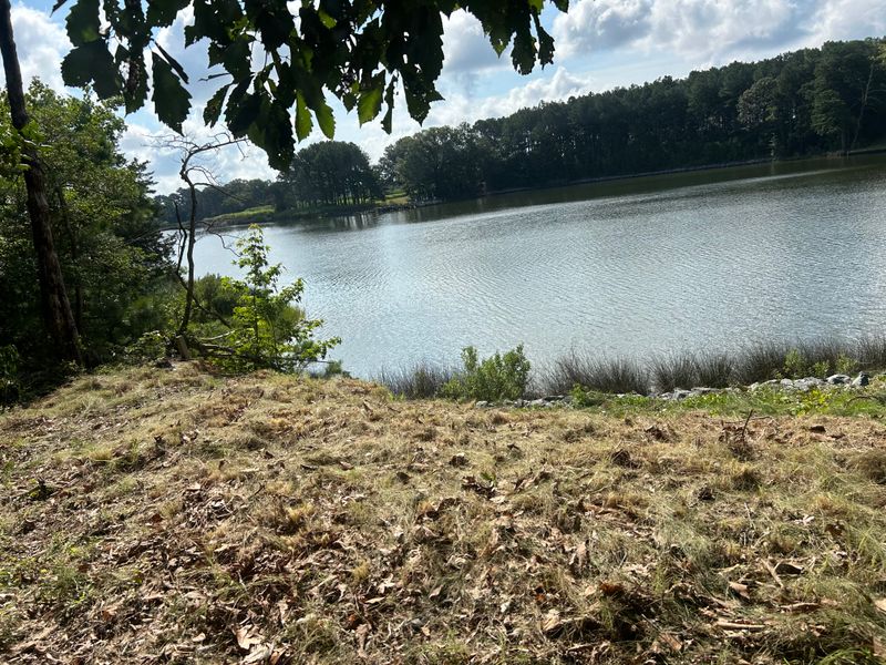 River Bank Clearing  gallery