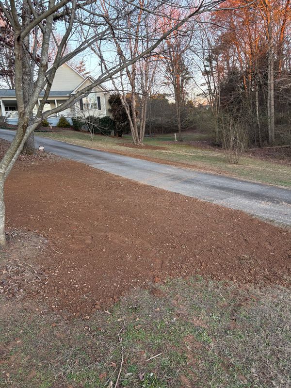 Landscape Design