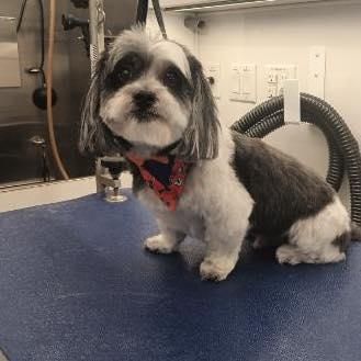 Full Service