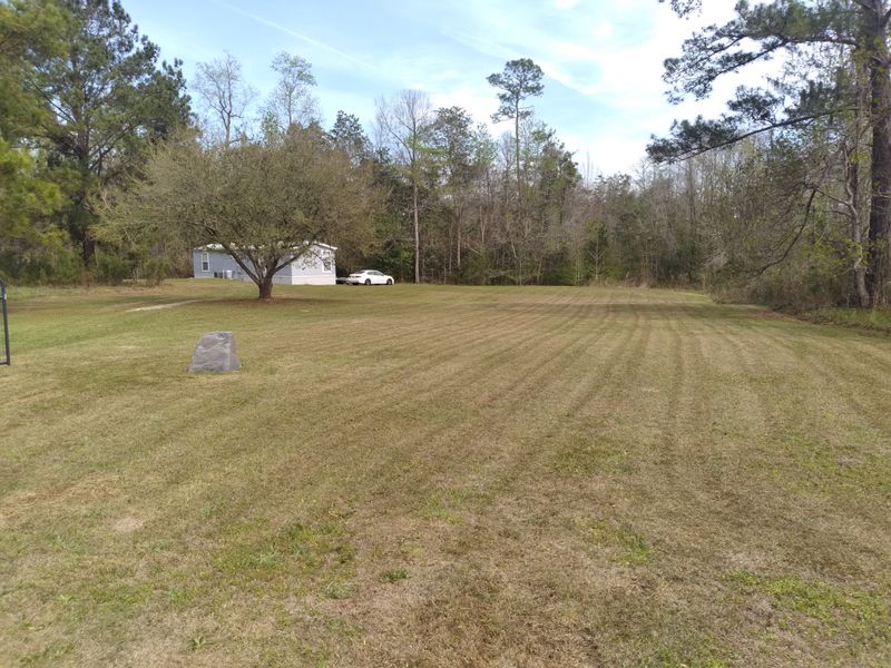 Lawn Mowing