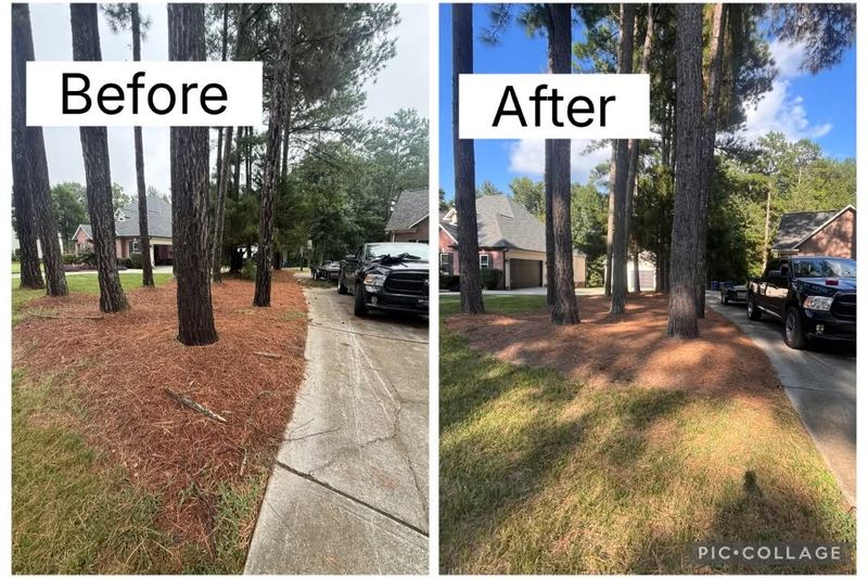 Seasonal Cleanups