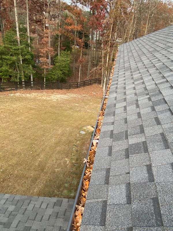 Gutter Cleaning