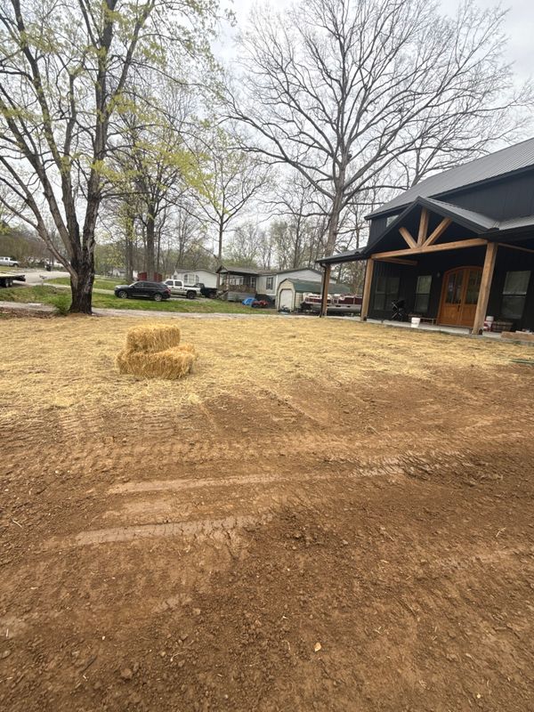 Land Clearing