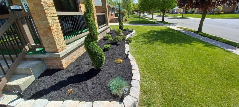 Shrub & Plant Installation Photos