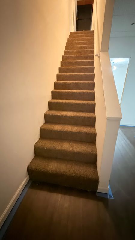 Carpet Installation and Repair