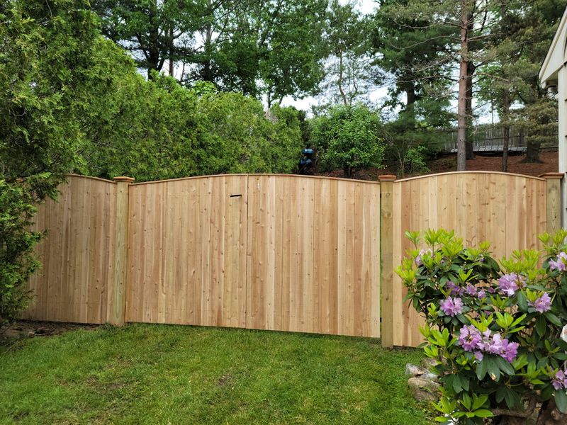 Wooden Fences