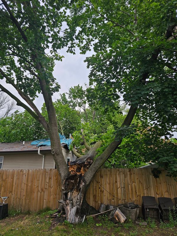 Storm Damage Mitigation