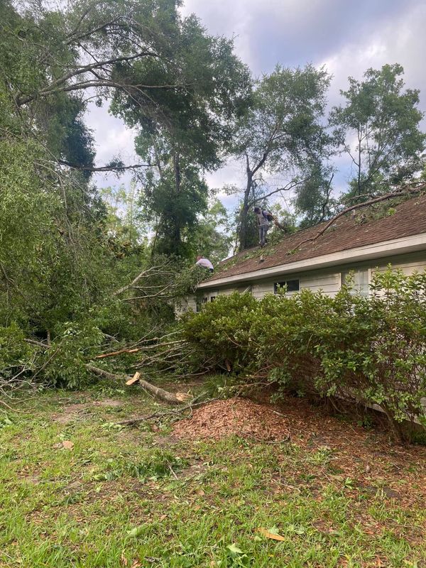Emergency Tree Services