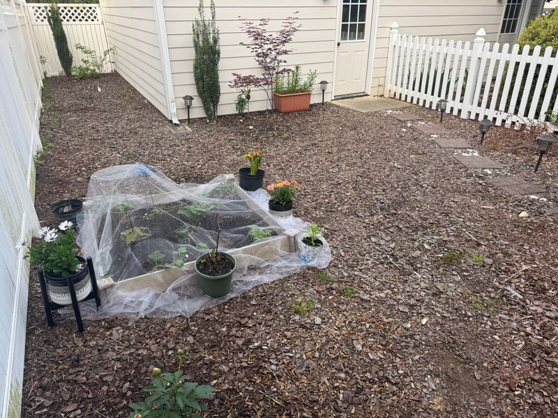 Planting