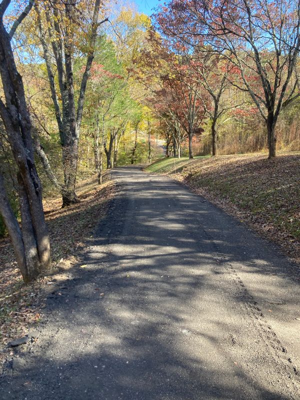 Road & Driveway Regrading