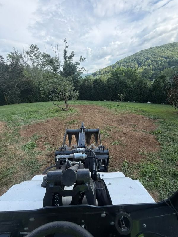 Stump Removal