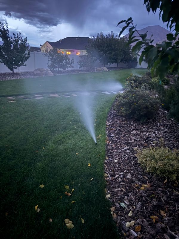 Sprinkler Blowout