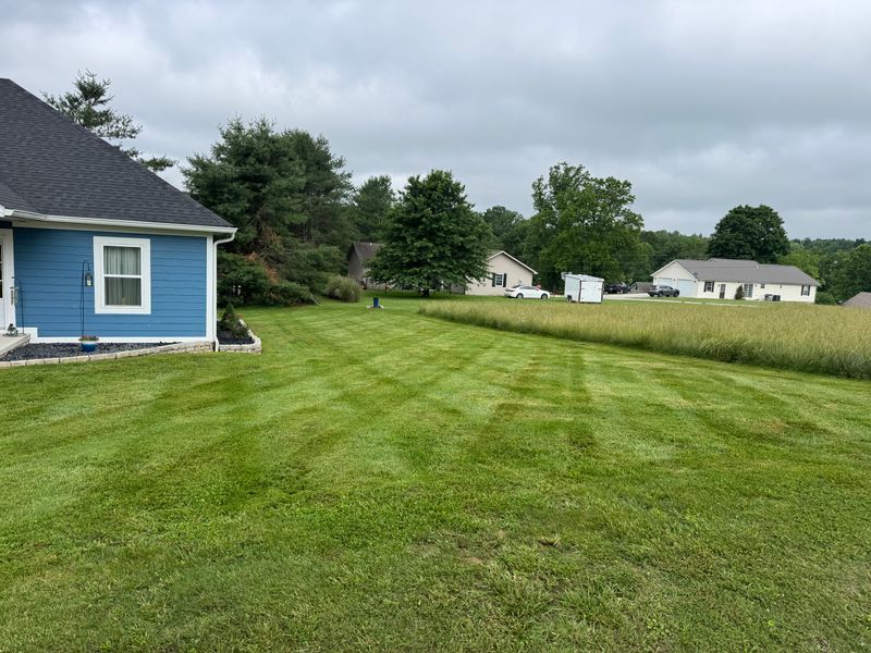 Lawns