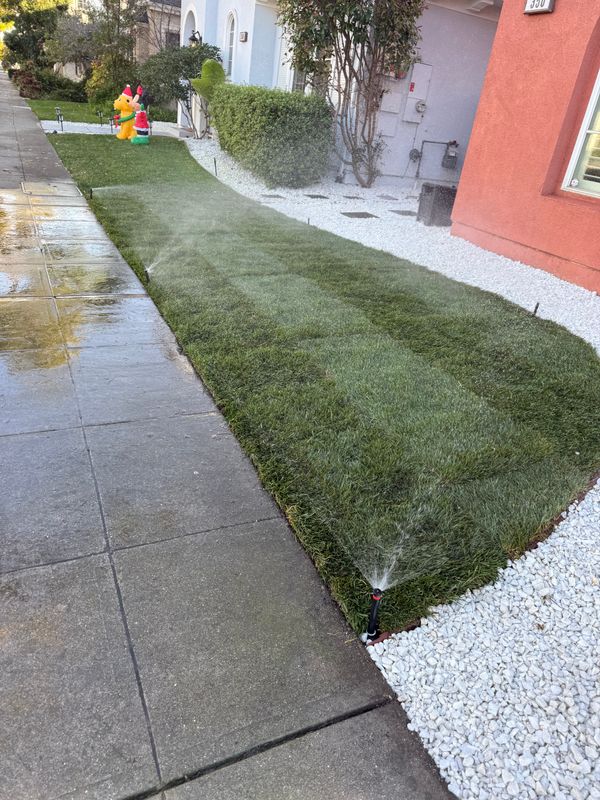 Landscaping